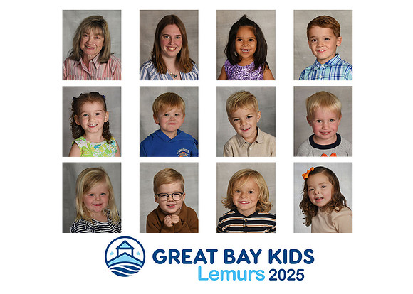 25lemurs