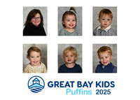 25puffins