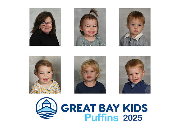 25puffins