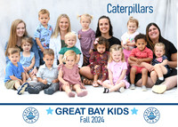 caterpillars