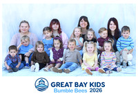 26bumblebees
