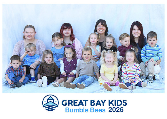 26bumblebees