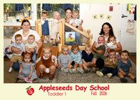 26t1
