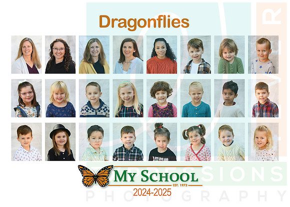 24dragonfly